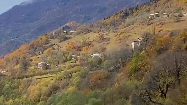 Beautiful Nature