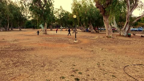 Neo color grade park