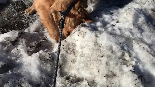 First Snow Day