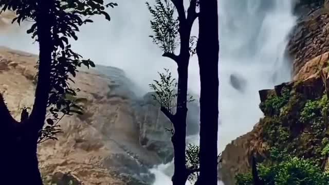 Lovely Water Fall