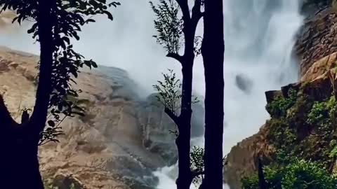 Lovely Water Fall