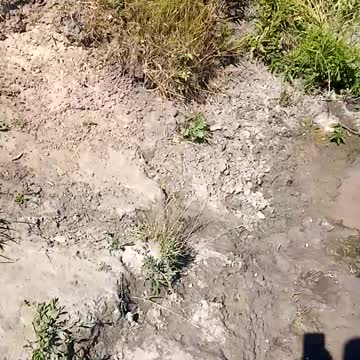 Russian river crossing