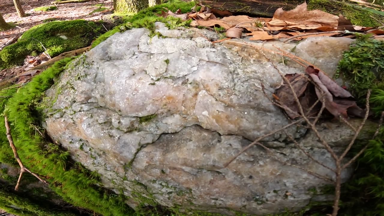 Quartz Rock