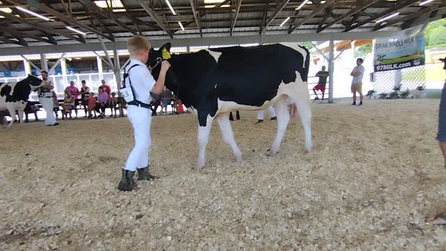 Showtime at the fair