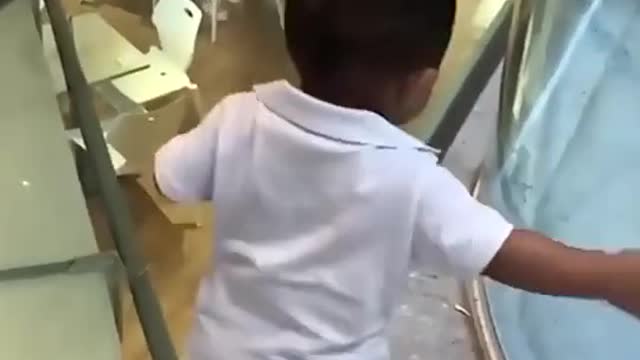 Cute Baby Funny Video