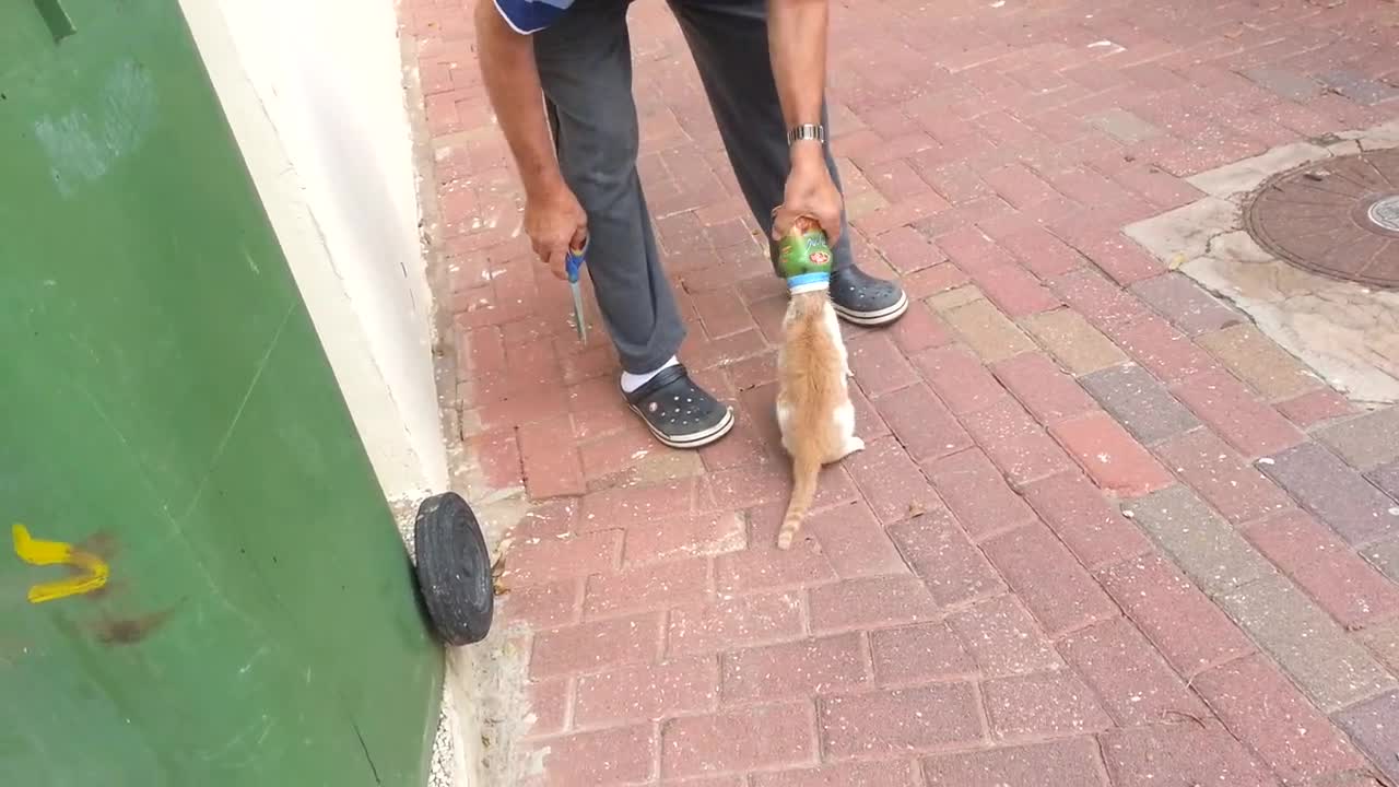 Rescuing A Cat Stuck In A Can