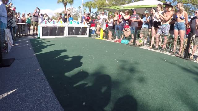 FWDD Gulfport gets rescued