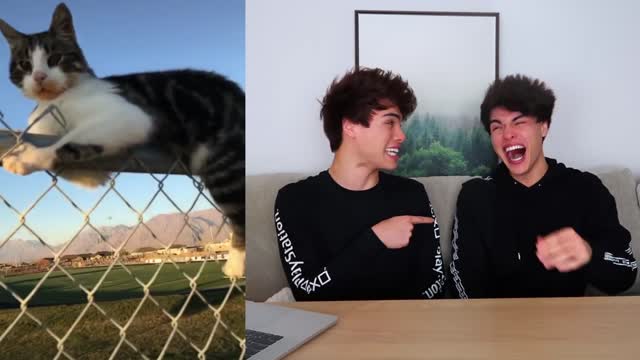 Tik Tok_Funny videos for Fun.