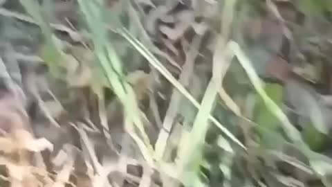 Ukrainian soldiers under Russian artillery fire - II