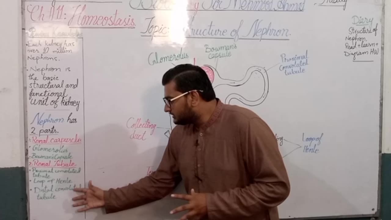 Structure of Nephron in Urdu Class 10 Biology