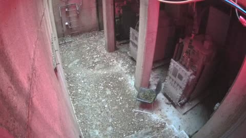 3258LHOBBAB250CGeneratorRoom_2021-01-05_17h00min02s223ms.mp4