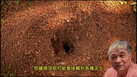 開食品罐頭前動作 防範細菌和微生物