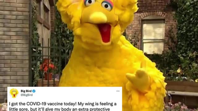 Big Bird received his COVID-19 vaccine!