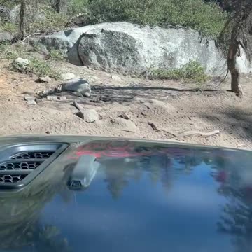 Sherpa One on the trail.... More Rubicon adventures