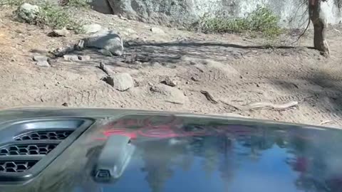 Sherpa One on the trail.... More Rubicon adventures