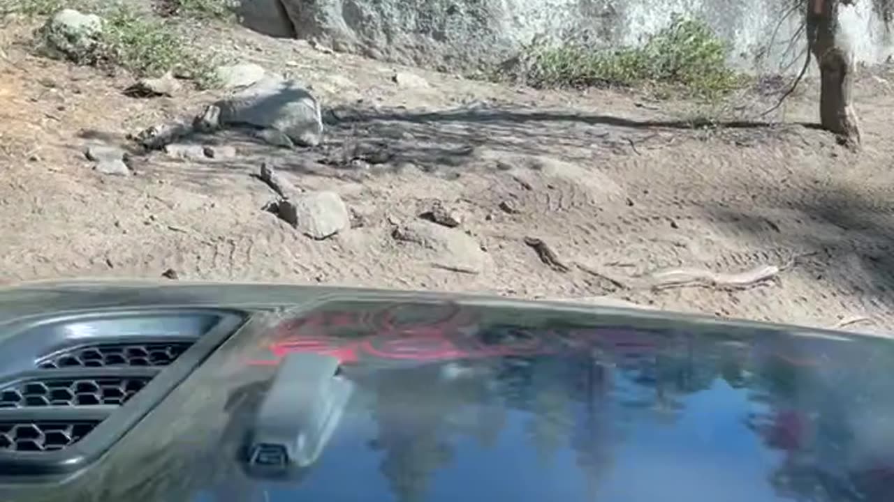 Sherpa One on the trail.... More Rubicon adventures