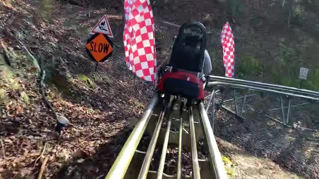 Surprisingly Speedy Mountain Coaster