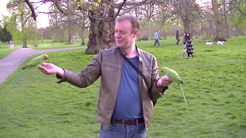 ㋡ The man with the parrots... ㋡ London ㋡