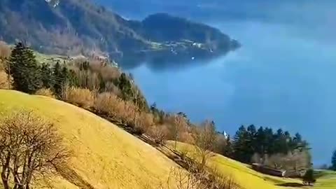 Snow mountain scenery grassland