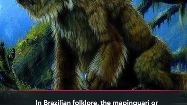 10 Most Chilling Discoveries Made In Brazil #Rumble