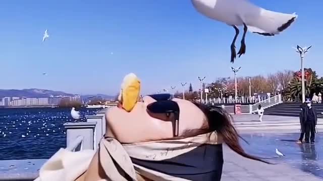 woman sharing snack with birds