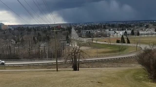 Red deer alberta
