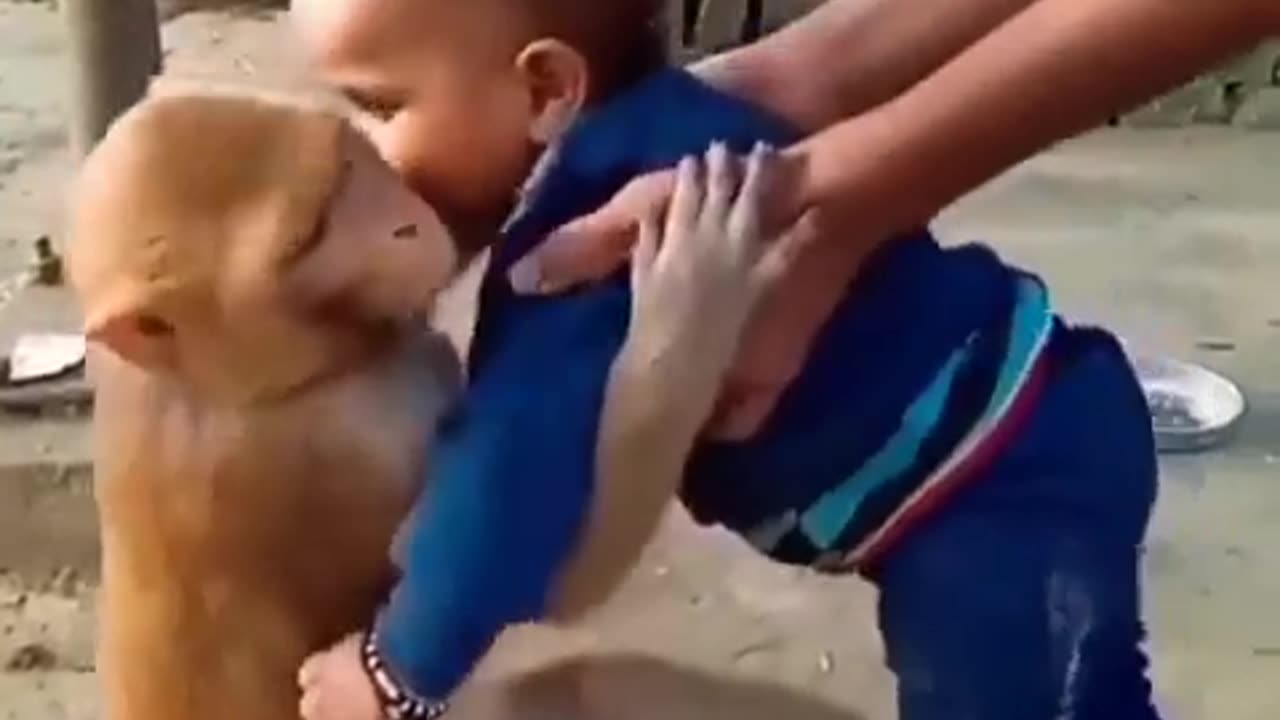 Must bee see this 😆