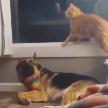 I WASN'T LOOKING AT YOU