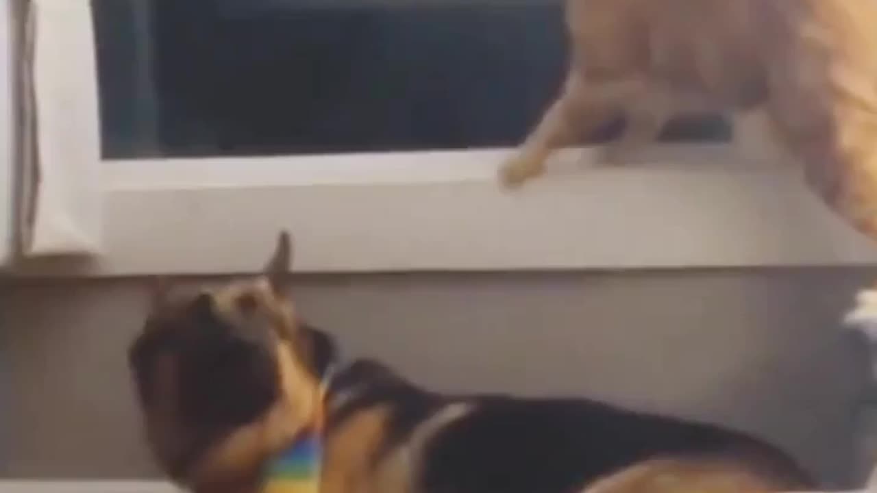 I WASN'T LOOKING AT YOU