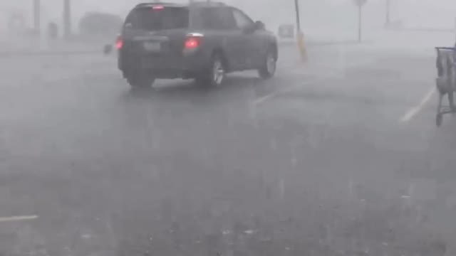 Lady Returns Shopping Cart In Fierce Storm