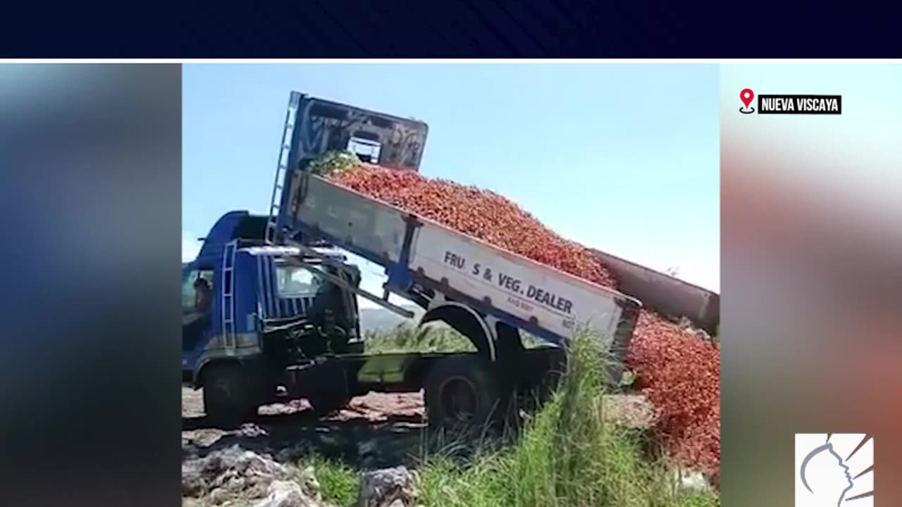 Isang truck ng kamatis, itinapon sa Nueva Vizcaya