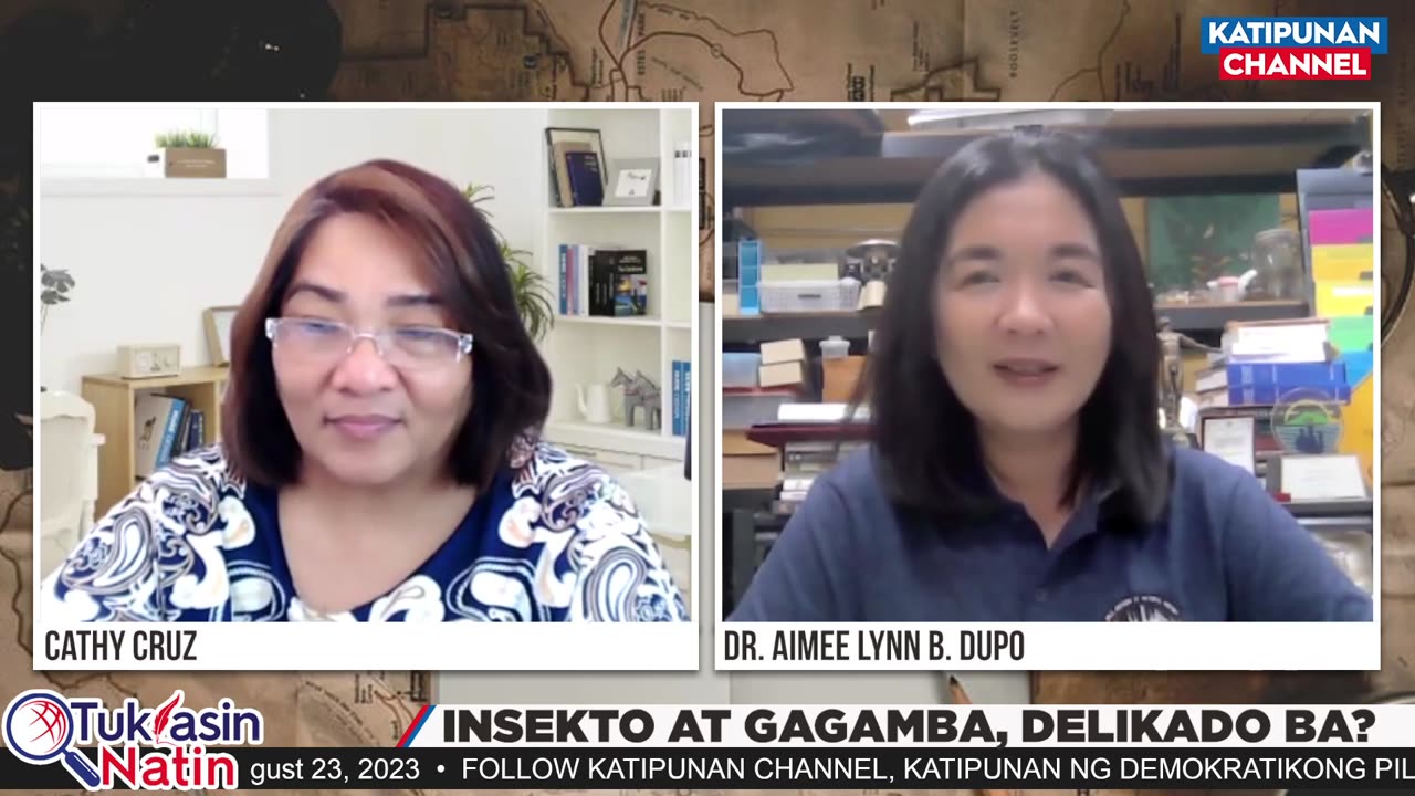 Insekto at gagamba, delikado ba? | Tuklasin Natin