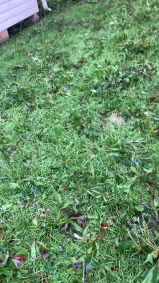 Hurricane Sally After eye goes by