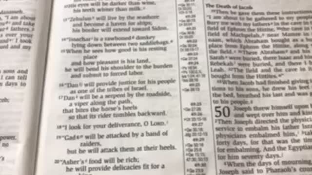 The Bible reading of the day:Exodus 2:1-10