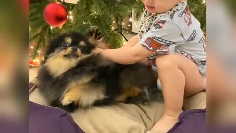 A little baby playing with cute puppy