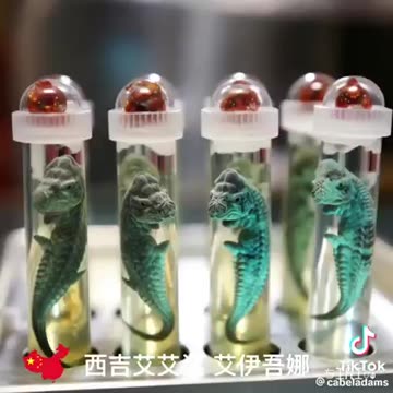 CHINA'S CLONED 🐲 DRAGONS