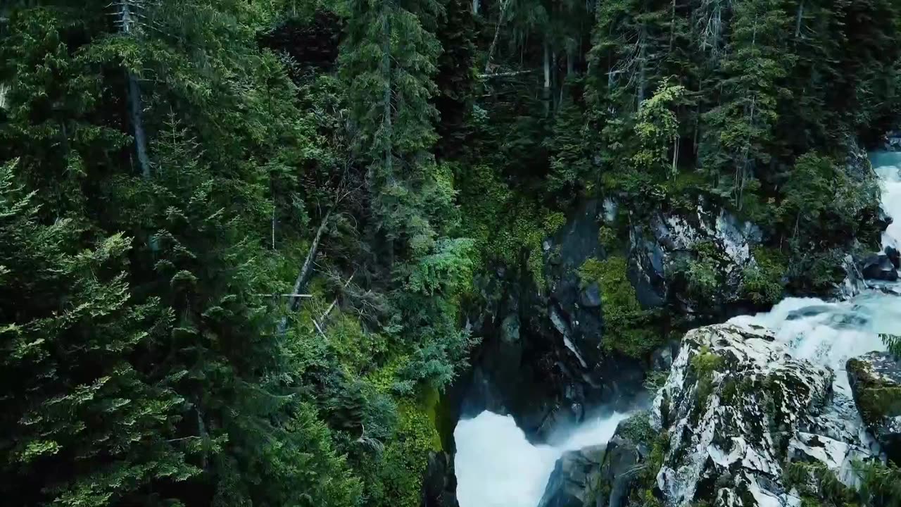 Book of Jeremiah (Chapters 39, 40, 41)