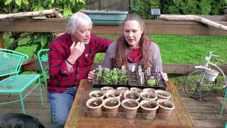 Shout out to Roots and Refuge Farm & seedling future plans.