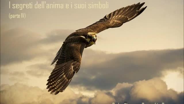 I SEGRETI DELL'ANIMA E I SUOI SIMBOLI (PARTE 04)