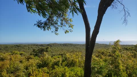 Lookout Over Indian Ocean from Boranup Forest