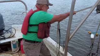 Morning Shrimp Run | Altamaha River Sportsman "Shorts"