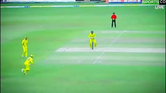 fans-video cricket lovers-video #cricket #cricketlover
