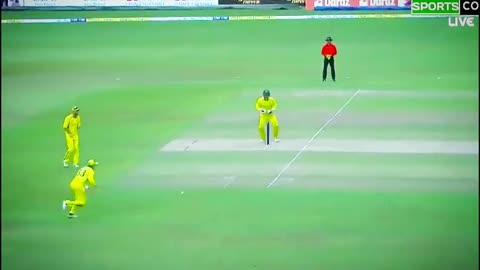 fans-video cricket lovers-video #cricket #cricketlover