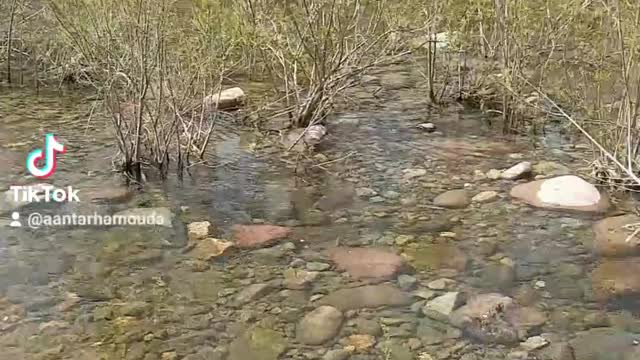 la nature en montagne