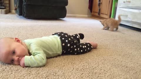 Baby vs Cat funny