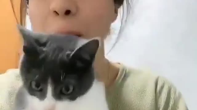 Cat shocked by lady face