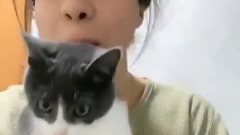 Cat shocked by lady face