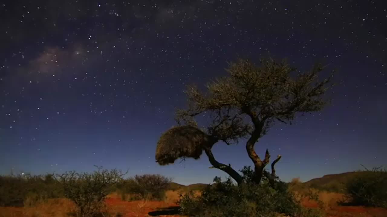 Tswalu Kalahari Reserve is a place to appreciate the night sky and learn about the stars.