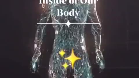 The Body