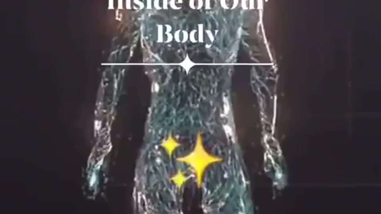 The Body